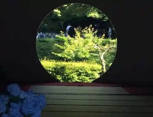 明月院(神奈川県)