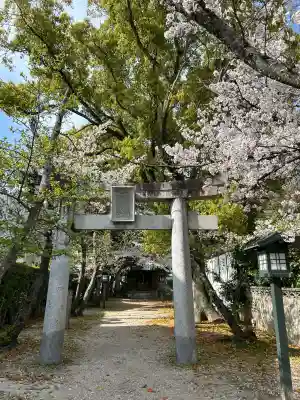 諏訪神社の{uncategorized: "未分類", other: "その他", undefined: "問題あり", building: "その他建物", grave: "お墓", sacred_gate: "鳥居", guardian: "狛犬", statue: "像", buddha: "仏像", history: "歴史", nature: "自然", garden: "庭園", animal: "動物", pagoda: "塔", temizu: "手水舎", mountain_gate: "山門・神門", sanctuary: "本殿・本堂", subordinate: "末社・摂社", art: "芸術", scenery: "景色", jizo: "地蔵", ema: "絵馬", goshuin: "御朱印", omikuji: "おみくじ", items: "授与品その他", amulet: "お守り", goshuincho: "御朱印帳", eats: "食事", festival: "お祭り", votive_dance: "神楽", shichigosan: "七五三参", wedding: "結婚式", experience: "体験その他", initially: "初詣", around: "周辺", anti_infection: "感染症対策"}