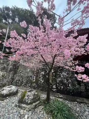 久能山東照宮(静岡県)