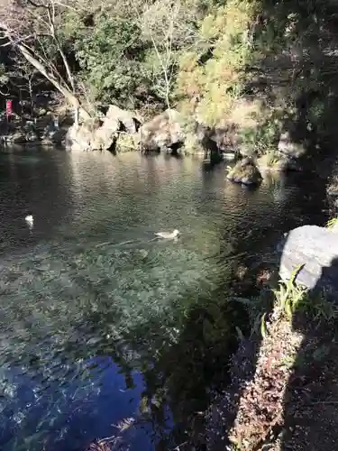 涌釜神社の庭園