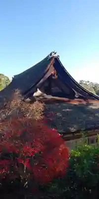 常樂寺の本殿・本堂