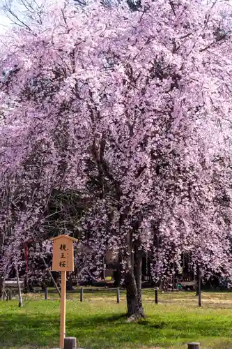 賀茂別雷神社（上賀茂神社）(京都府)