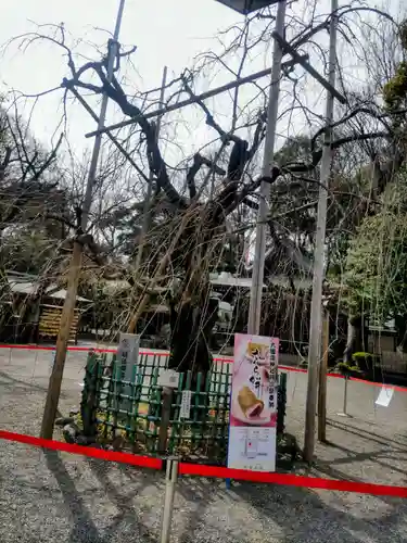 大國魂神社(東京都)