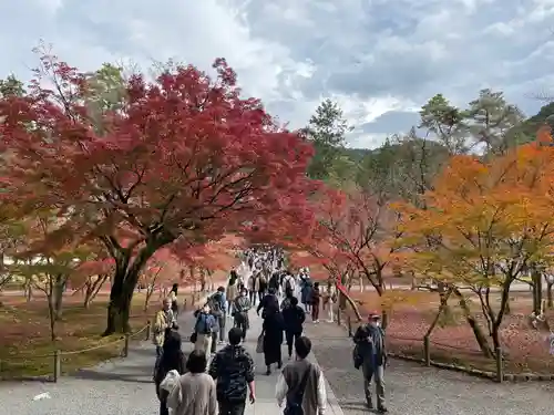 南禅院(京都府)