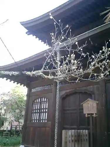 瑞泉寺の本殿・本堂