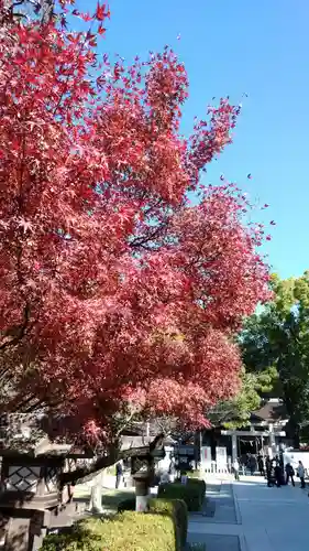 武田神社の自然
