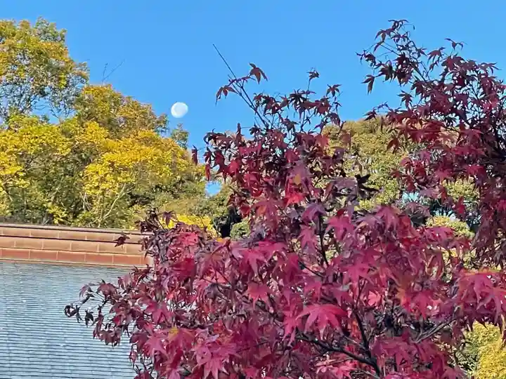 伊勢の国 四天王寺の自然