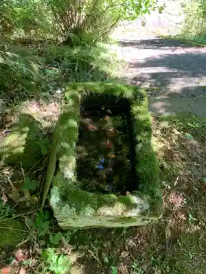 熊野神社の手水舎