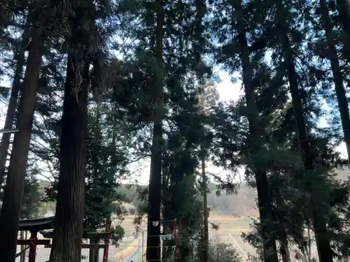 大宮温泉神社(栃木県)
