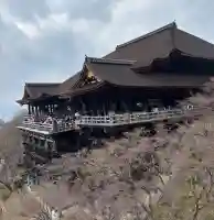 清水寺の{uncategorized: "未分類", other: "その他", undefined: "問題あり", building: "その他建物", grave: "お墓", sacred_gate: "鳥居", guardian: "狛犬", statue: "像", buddha: "仏像", history: "歴史", nature: "自然", garden: "庭園", animal: "動物", pagoda: "塔", temizu: "手水舎", mountain_gate: "山門・神門", sanctuary: "本殿・本堂", subordinate: "末社・摂社", art: "芸術", scenery: "景色", jizo: "地蔵", ema: "絵馬", goshuin: "御朱印", omikuji: "おみくじ", items: "授与品その他", amulet: "お守り", goshuincho: "御朱印帳", eats: "食事", festival: "お祭り", votive_dance: "神楽", shichigosan: "七五三参", wedding: "結婚式", experience: "体験その他", initially: "初詣", around: "周辺", anti_infection: "感染症対策"}