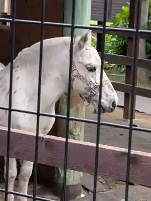 五方山熊野神社(東京都)