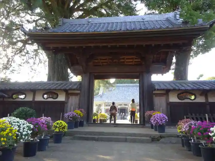総世寺の山門・神門