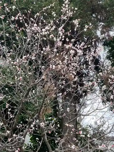 大國魂神社(東京都)