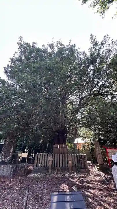 熊野速玉大社(和歌山県)