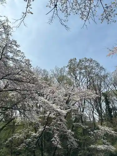 榛名神社(東京都)
