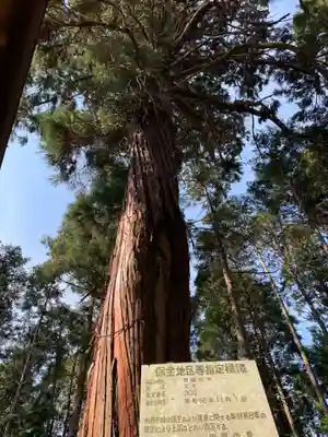 白山神社の自然