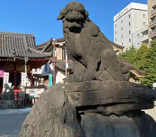 浅草神社の狛犬