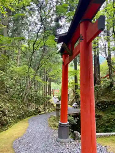 白龍神社の鳥居