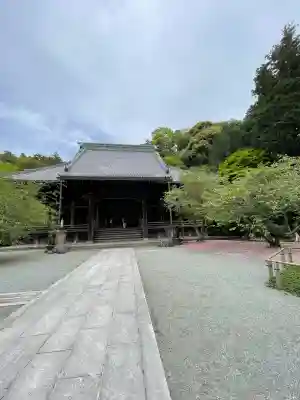 妙本寺(神奈川県)