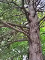 厚別神社(北海道)