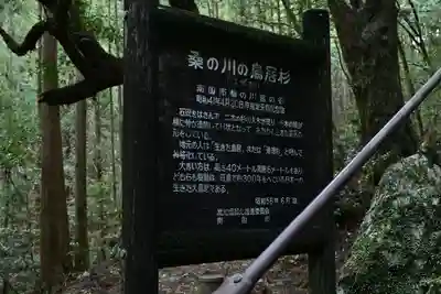 地主神社（桑の川の鳥居杉）(高知県)