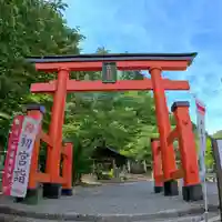 金櫻神社の鳥居