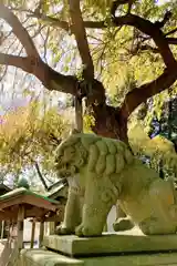 三島八幡神社の狛犬