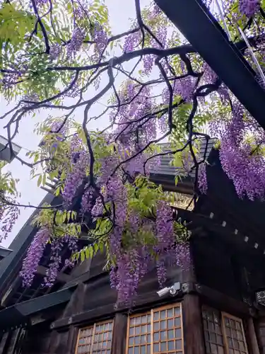 國領神社(東京都)