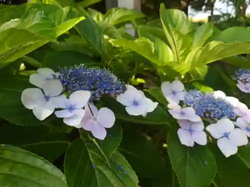 江島神社の自然
