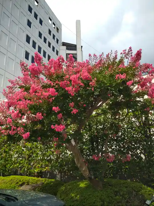 岡山神社の自然