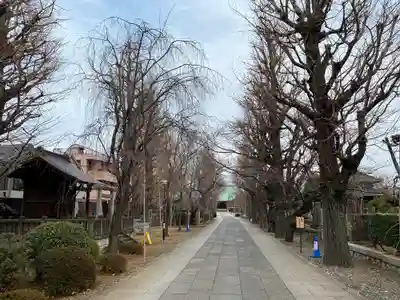 吉祥寺のその他建物
