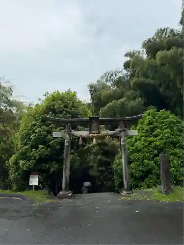 神龍八大龍王神社(熊本県)