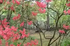 深山巴の宿の自然