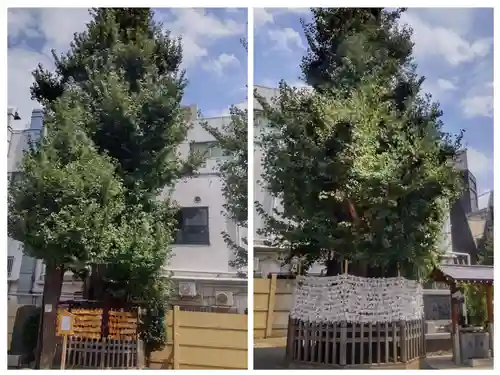 天祖神社(東京都)
