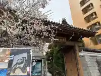 興聖寺の{uncategorized: "未分類", other: "その他", undefined: "問題あり", building: "その他建物", grave: "お墓", sacred_gate: "鳥居", guardian: "狛犬", statue: "像", buddha: "仏像", history: "歴史", nature: "自然", garden: "庭園", animal: "動物", pagoda: "塔", temizu: "手水舎", mountain_gate: "山門・神門", sanctuary: "本殿・本堂", subordinate: "末社・摂社", art: "芸術", scenery: "景色", jizo: "地蔵", ema: "絵馬", goshuin: "御朱印", omikuji: "おみくじ", items: "授与品その他", amulet: "お守り", goshuincho: "御朱印帳", eats: "食事", festival: "お祭り", votive_dance: "神楽", shichigosan: "七五三参", wedding: "結婚式", experience: "体験その他", initially: "初詣", around: "周辺", anti_infection: "感染症対策"}