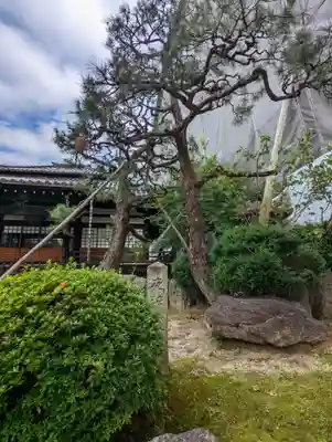 本隆寺（本妙興隆寺）(京都府)