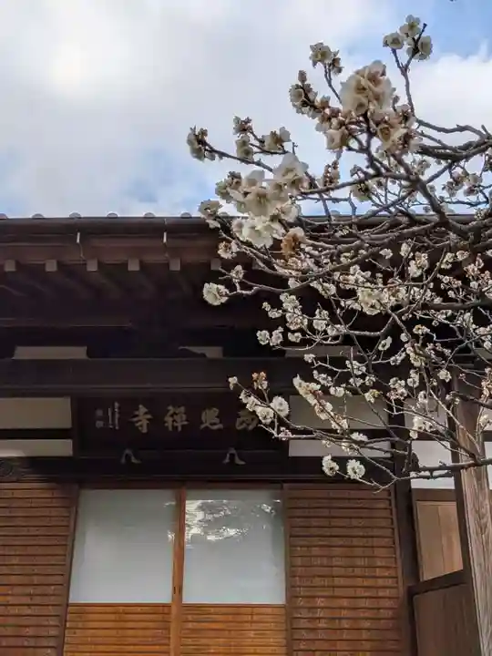 西照寺(東京都)