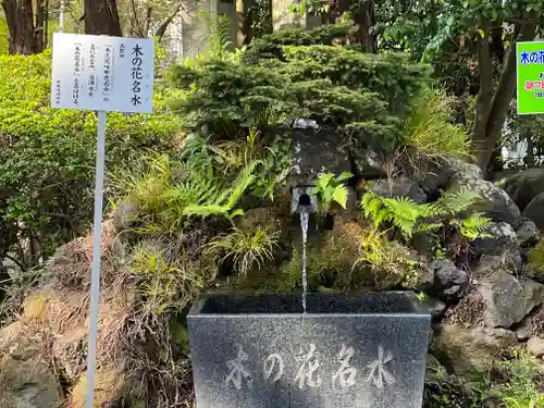 新橋浅間神社の手水