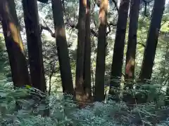 天岩戸神社(宮崎県)