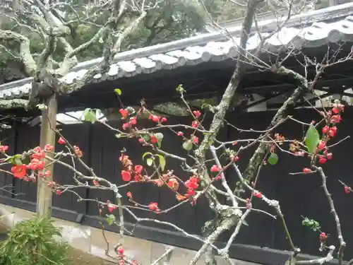 東慶寺の庭園