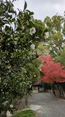 水無瀬神宮(大阪府)