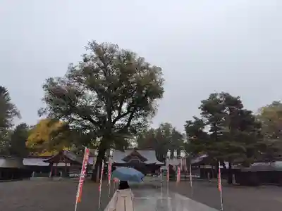 北海道護國神社の本殿・本堂
