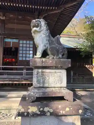 砥鹿神社(里宮)の狛犬