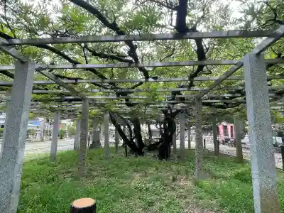 三大神社(滋賀県)
