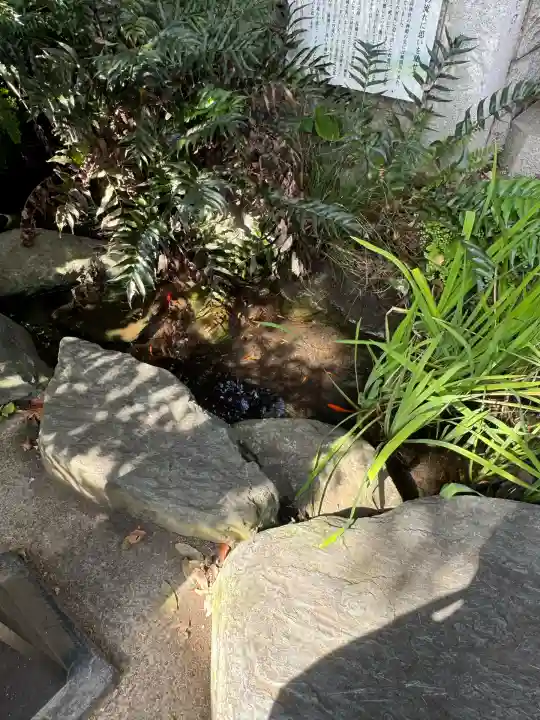 馬橋稲荷神社(東京都)