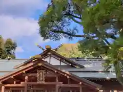 猿田彦神社(三重県)