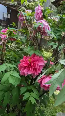 雨宝院(京都府)