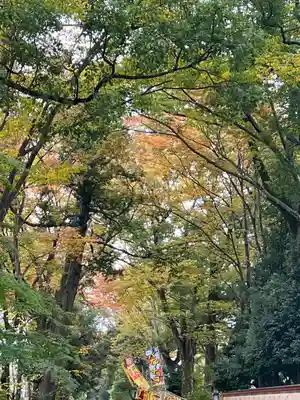 武蔵一宮氷川神社(埼玉県)