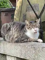 白山神社の動物