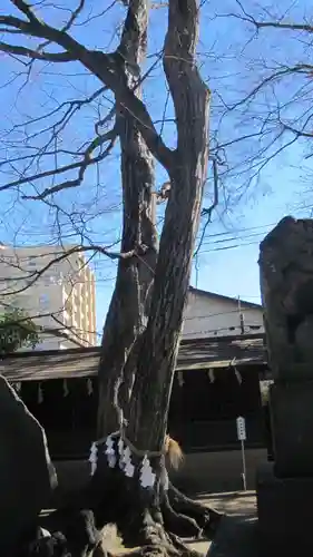本太氷川神社(埼玉県)